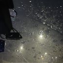 쎄시분식 | [울진/울진읍] 삼첩분식 - 배달의민족 포장 주문 후기 (이첩세트, 로제떡볶이+모듬튀김+감자폭탄)