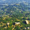 청진하다 펜션 | 포항 독채 펜션 바다가 펼쳐지는 청진하다 1박 2일 후기