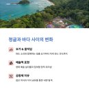 (야간)치유요가 이미지