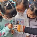 광지원초등학교 이미지