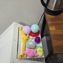 [제주 애월 소형견펜션 엔젤하우스] 트윈침대( B타입) 객실 솔직 후기 (A타입과 차이점 비교)