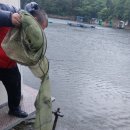 천평낚시터 이미지