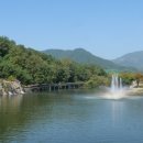 나현보약밥상 이미지