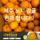 미라농원 이미지