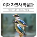 이화여자대학교 자연사박물관 | 서울 아이와 가볼만한곳 이화여자대학교 자연사박물관