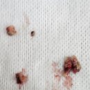 해운대조은동물병원 이미지