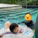 형제사슴목장 | 5월 방콕 일상(후아힌 메리어트 2, 마라스카 카오야이 Marasca, 카오야이여행, 카오야이 촉차이팜, 방콕...