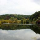 보리감자마을 이미지