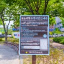 자연과예술유치원 이미지