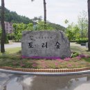 토리숲 주차장 이미지