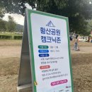 부산근교 캠크닉 가능한 황산공원 아이랑 방문후기(미니기차, 모래놀이, 불멍, 주차팁) 황코스모스는 덤!