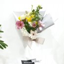 블루메플레르 이미지