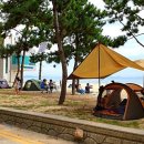 율포솔밭해변1 이미지