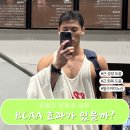 닥터피티 | [청담피티 / 청담헬스장] 운동전 BCAA 효과 있을까!? BCAA는 근 성장에 도움이 될까?