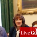 so tree farm 이미지