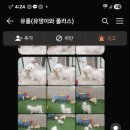 유폴 평택지제역점 이미지