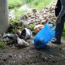 평곡3리 이미지