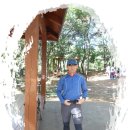 공촌정수사업소 Daum카페