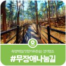 가평 축령백림, 무장애나눔길이 있는 80년생 잣나무숲 축령백림투어
