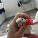 보성통증동물병원 이미지