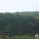 왕방산 Daum카페