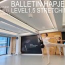 스트레칭발레(중급) 이미지