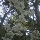 연산동 SK VIEW(2단지) 이미지