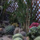 아유란농원 이미지