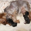 금빛농원 이미지