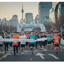 (사)한국생활자원재활용협회 | 2025 서울어스마라톤,참가비, 대회코스, 신청방법 러닝 축제