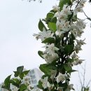 대화농업체험공원 이미지