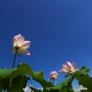 지상농장 이미지