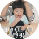 도빈엔멀티숍 | 아이랑 힙시트 아기띠 2주 사용후기, 포켓 사용기