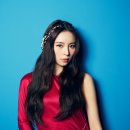 씨엘씨 카카오 검색결과