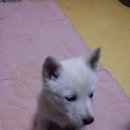 온식구 이미지