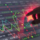 디에스코리아 이미지