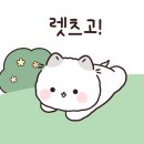 대구 저스트 나이트 이미지