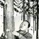 개간지천 | 조림왕 임종국