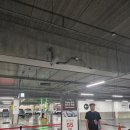 명가소프트 | 테슬라 전장작업 | 오토도어 · 오토프렁크 ·소프트클로징 시공 후기!