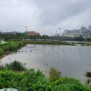 엄궁유수지 이미지