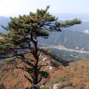 토요산행 운악산... 2006.10.7... 머어찌군요. 이미지