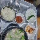 봉암꿀돼지국밥냉밀면 | 창원 특례 시 돼지국밥 맛집 봉암꿀돼지국밥냉밀면 봉암동 돼지국밥 맛집 창원 봉암동 택시 기사 맛집
