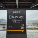 오대산 힐링타운 달빛동 | [평창/오대산] 평창 오대산 월정사 2025 단풍 실시간 현황 (11/08 방문)