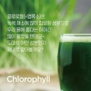 그린시너지 이미지