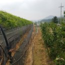 서석농장 이미지