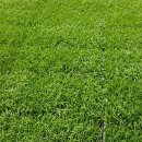 순재농장 이미지