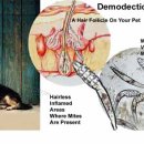 사하동물병원 이미지