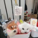 일광복권 네이버블로그