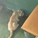 (주)세존 | 세존 일년 후기:가지마