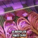 논개한우 이미지